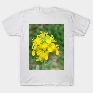 Yellow lampshade flower T-Shirt